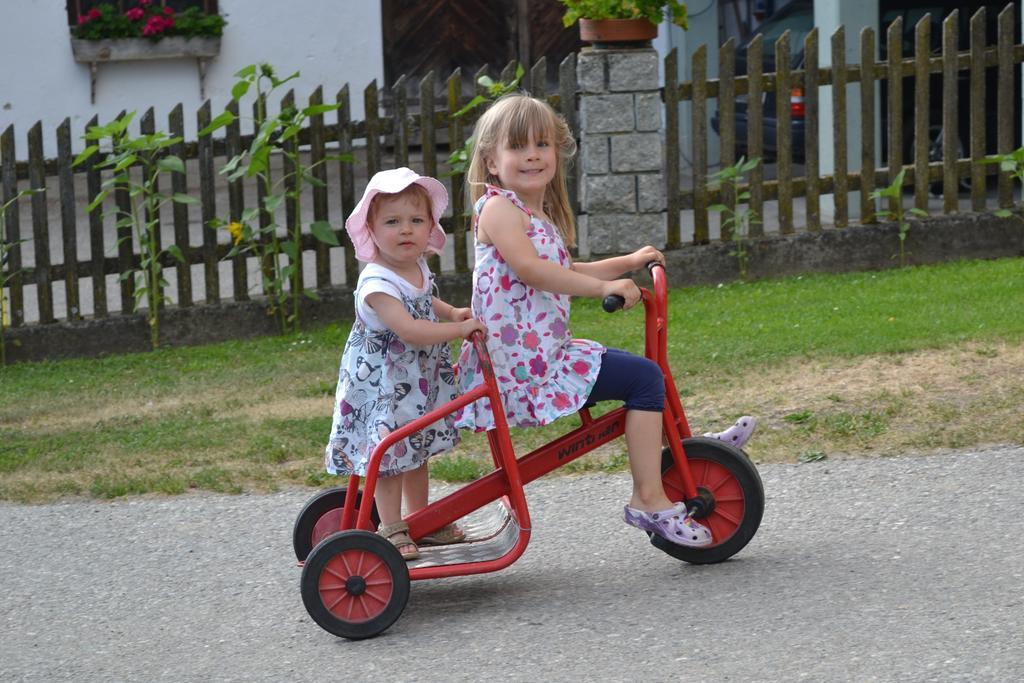 Klieber - Urlaub Am Biobauernhof Villa Millstatt Buitenkant foto