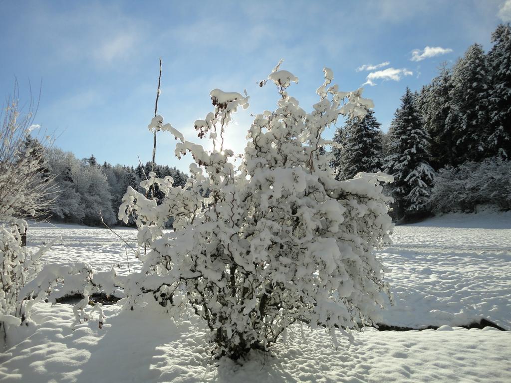 Klieber - Urlaub Am Biobauernhof Villa Millstatt Buitenkant foto