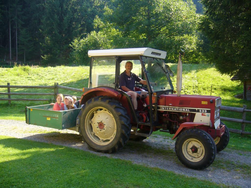 Klieber - Urlaub Am Biobauernhof Villa Millstatt Buitenkant foto