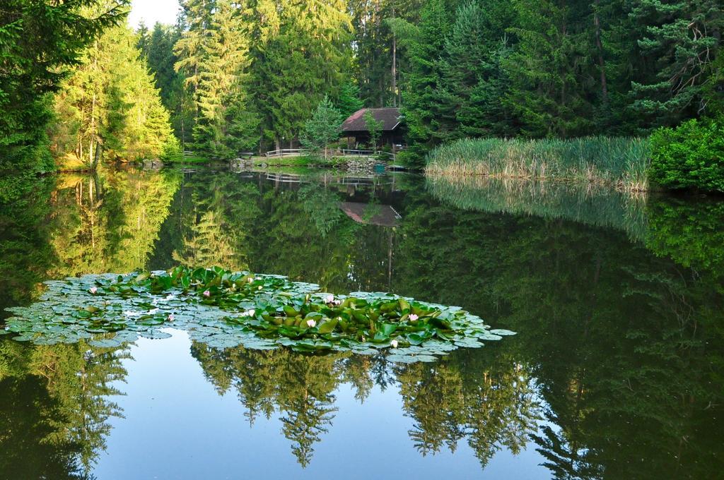 Klieber - Urlaub Am Biobauernhof Villa Millstatt Buitenkant foto