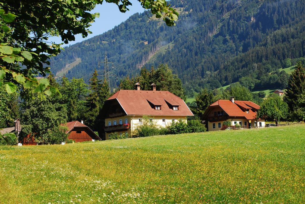 Klieber - Urlaub Am Biobauernhof Villa Millstatt Buitenkant foto